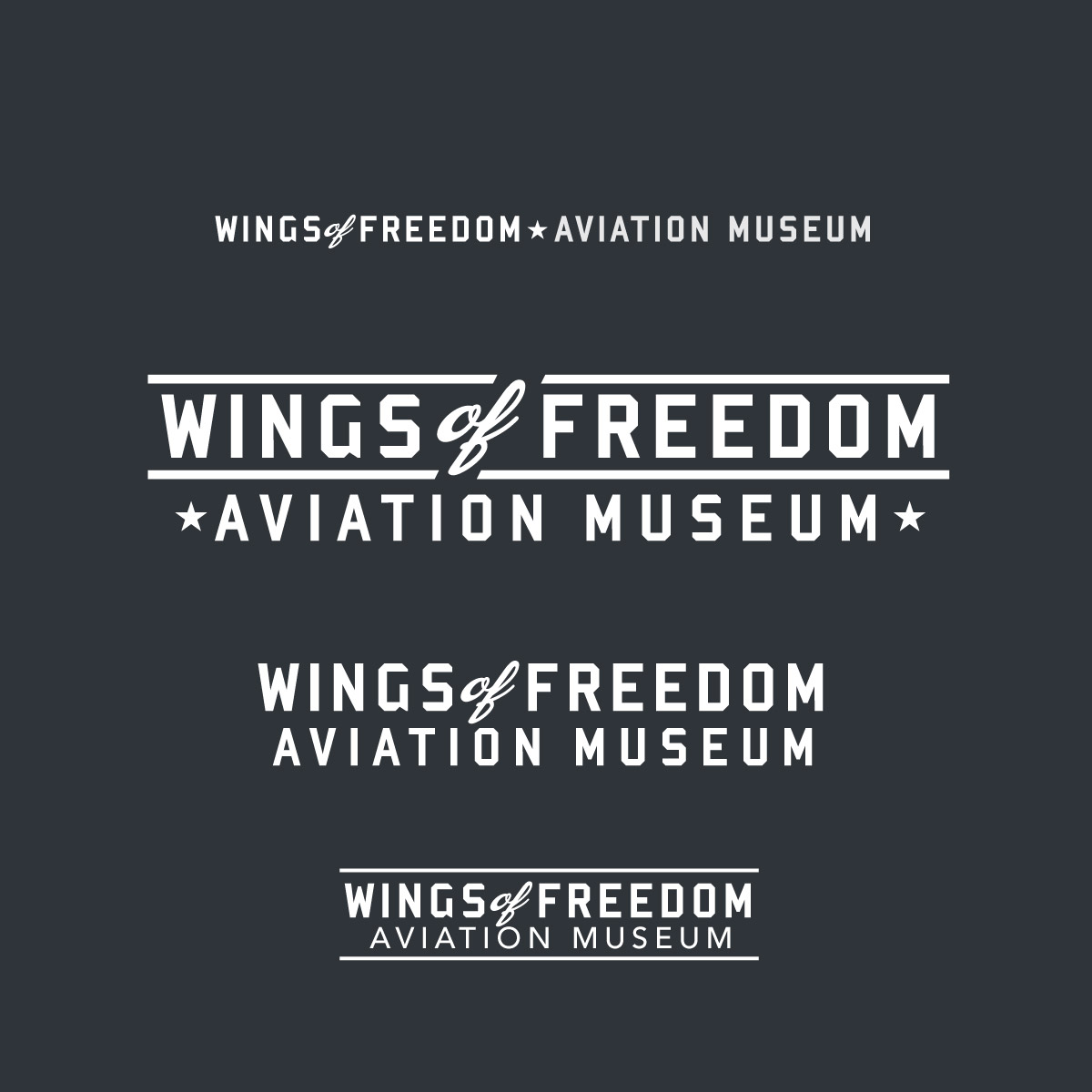 swings of freedom logo